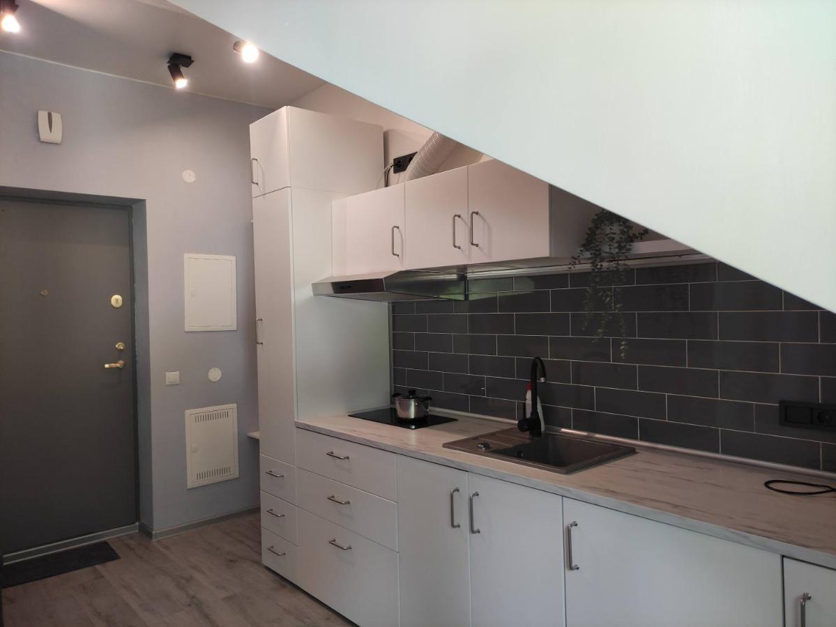 Cosy Apartments In Vilnius Center Esterno foto